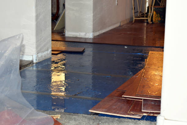 Professional Water Extraction technician working in New Athens, IL